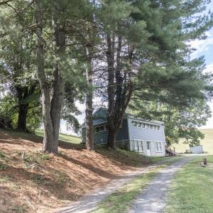 Driveway View