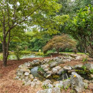 Pond