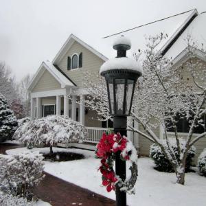 Winter