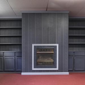 Garden Level Fireplace and built-ins