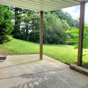 Backyard Views from Covered Patio
