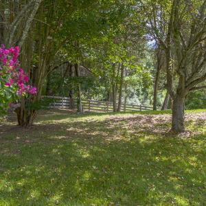 Side/backyard with mature landscaping