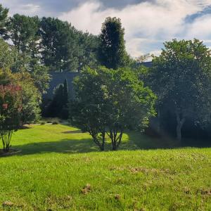 View of home from vacant lot sideyard