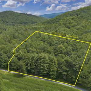 MLS 1560 Pedlar River Rd-6