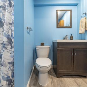 MLS 1560 Pedlar River Rd-19