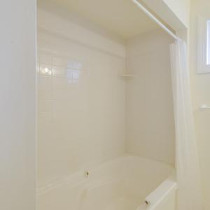 Guest Apt Bathroom