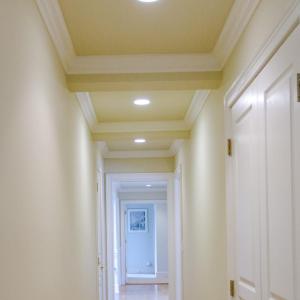 Elegant moldings