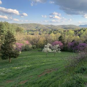 Seasonal Owner Photo