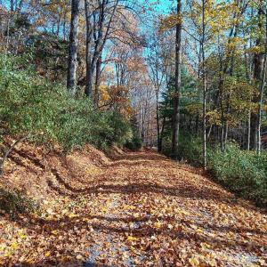 Seasonal Owner Photo