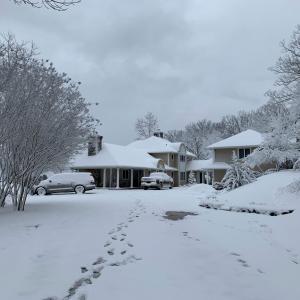 Seasonal Owner Photo