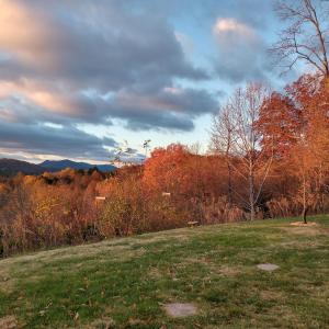 Seasonal Owner Photo