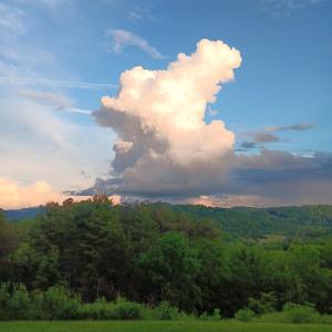 Seasonal Owner Photo