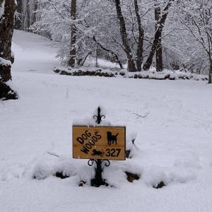 Seasonal Owner Photo