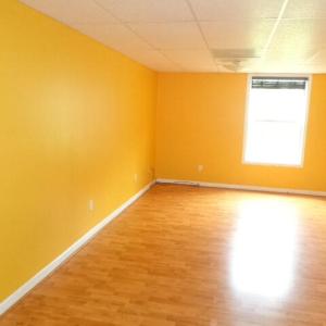 family room basement