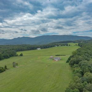DJI_0438