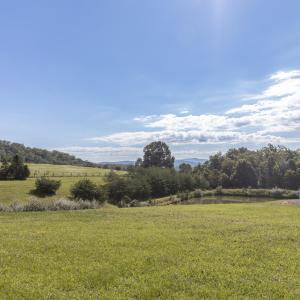 Field View