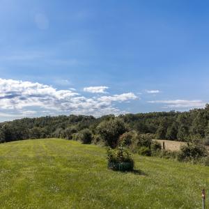 Field View