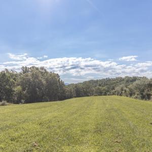 Field