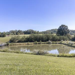 Pond
