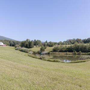 Pond