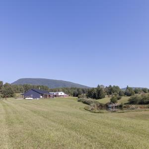 Field View