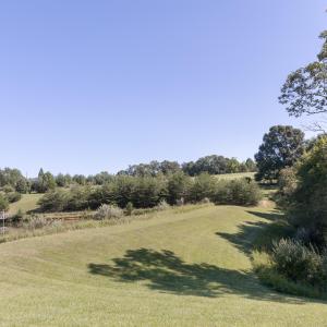 Field View