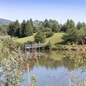 Pond