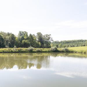 Pond View