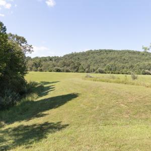 Field View