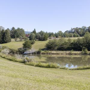 Pond View