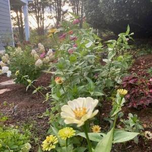 Garden 2
