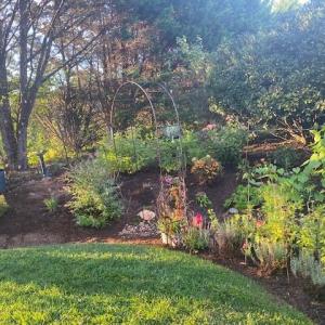 Garden 3