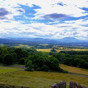 IMG_1917.2 - View