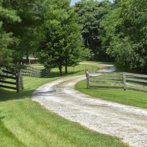 9195 Springwood Rd-4