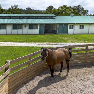 9195 Springwood Rd-12