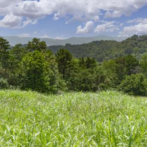 9195 Springwood Rd-22