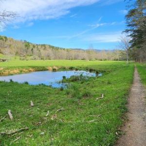 stock pond
