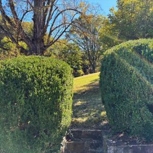 Pretty Mature Landscaping with stone wal