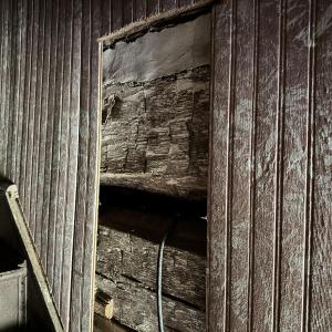 Exposed Logs