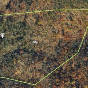 ONX Ariel View
