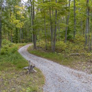 MLS 260 Trillium Trail-14