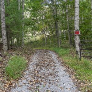 MLS 260 Trillium Trail-15