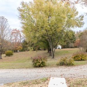 View from front porch steps