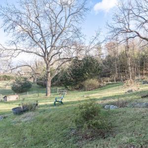 Backyard with fencing