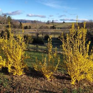 4b65e6c2-fa04-4c5b-8e20-135f950dc92b