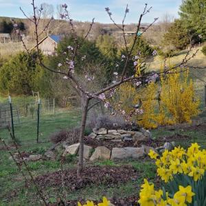 4c47b159-56c2-4f4f-b4ee-5f3fad75a7c8