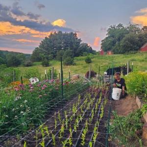 7a75e4b8-f81d-40af-8778-d88bd1ada1c8