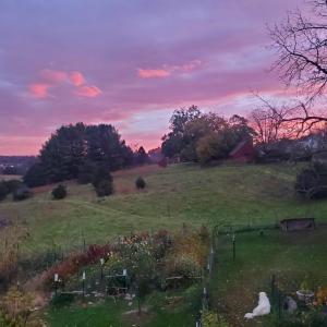 7b04e383-02f4-4dbc-b0f6-ce12ea5f4c46