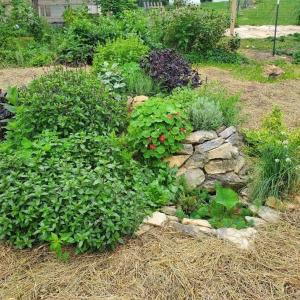 8acb99c5-4dc7-4c11-907f-38e8a0898c9b