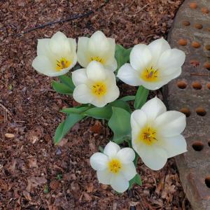 008b2a82-18aa-451a-ba03-9b1c31b28aeb